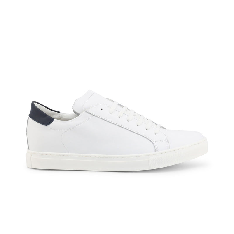 Duca di Morrone - BRANDO-PELLE